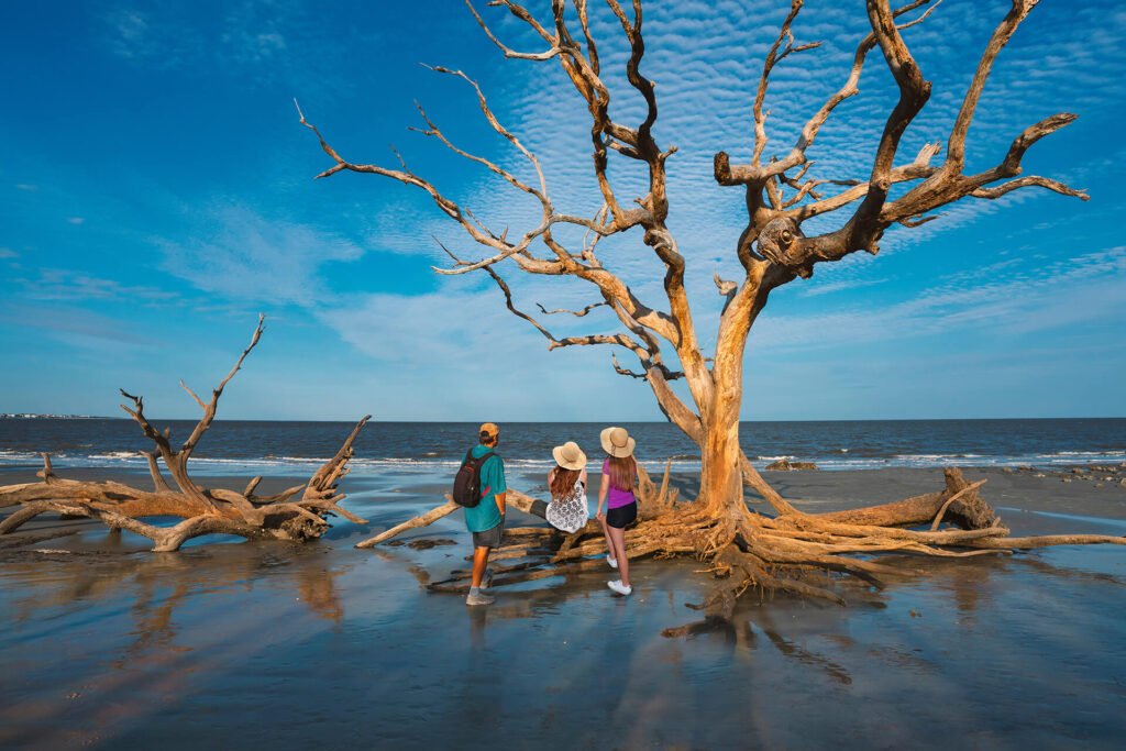 Jekyll Island Beach