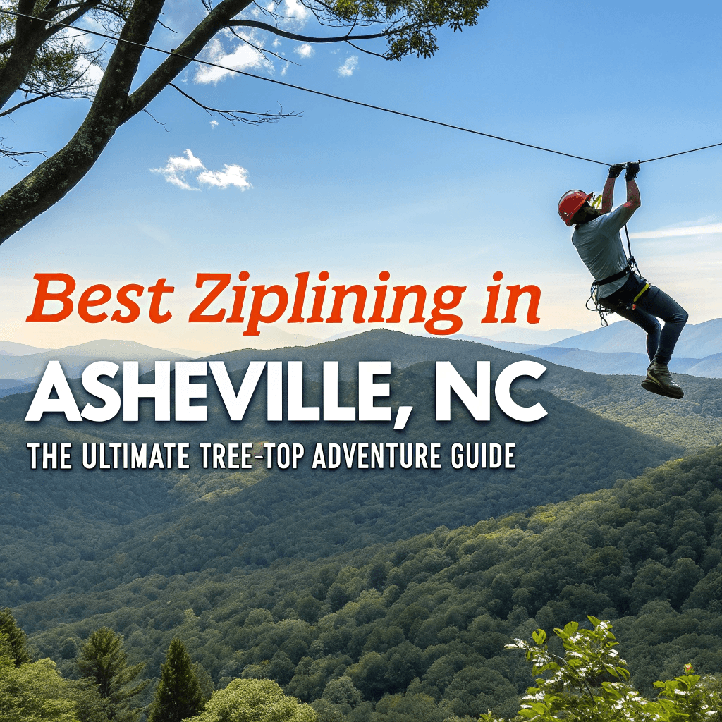 Ultimate Guide to Ziplining in Asheville: Thrills, Views & Family Fun