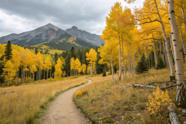 Ultimate Hiking Guide to Flagstaff, Arizona – Trails, Gear & Tips