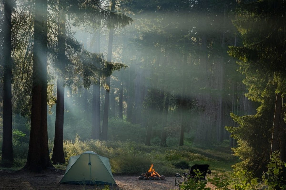 Tinkham Campground